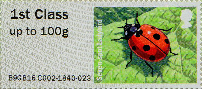 ladybird