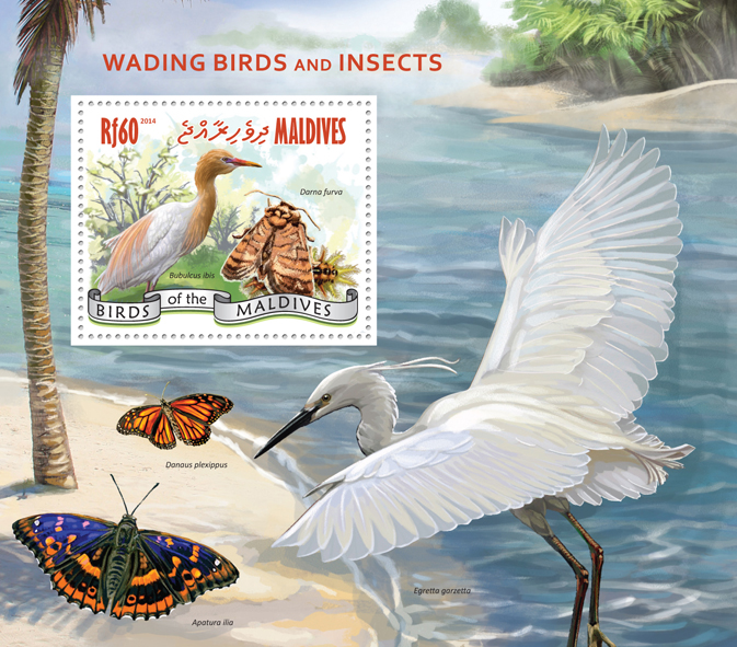 wadingbirds