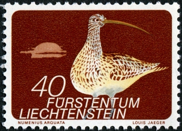 Curlew-12-6-73Photo20-Louis20Jaeger_zpskfsrmvvm