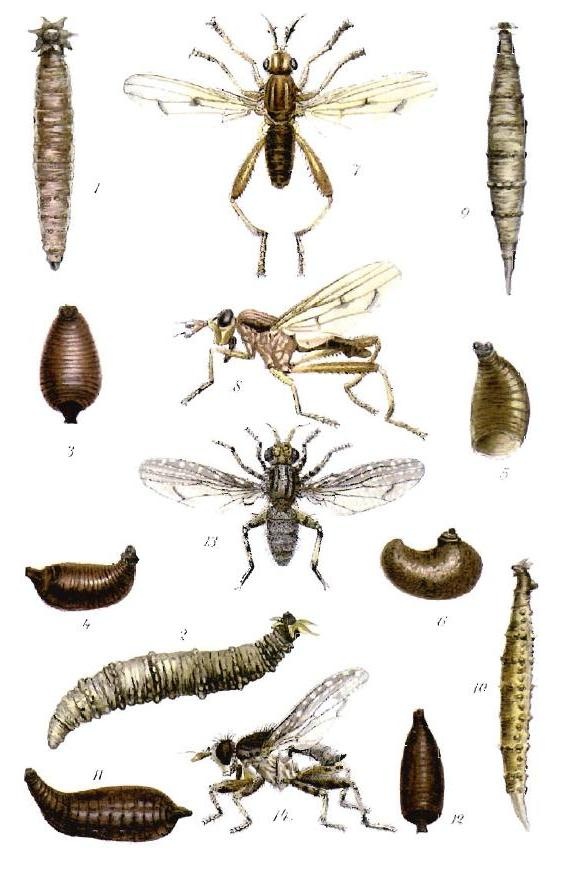 Negative impacts of neonicotinoids in aquatic environments are a reality