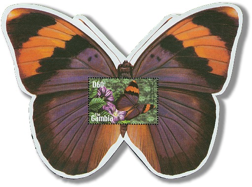 butterflies14