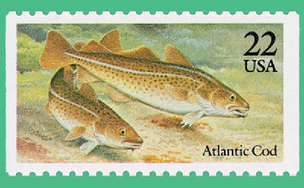 cod fishing