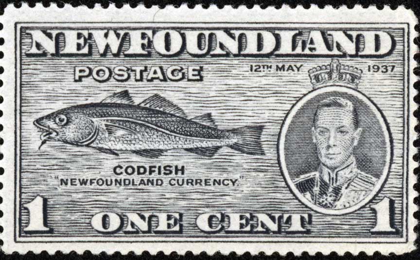 codfish