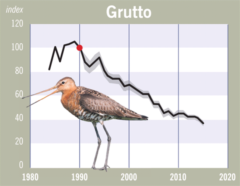 grutto