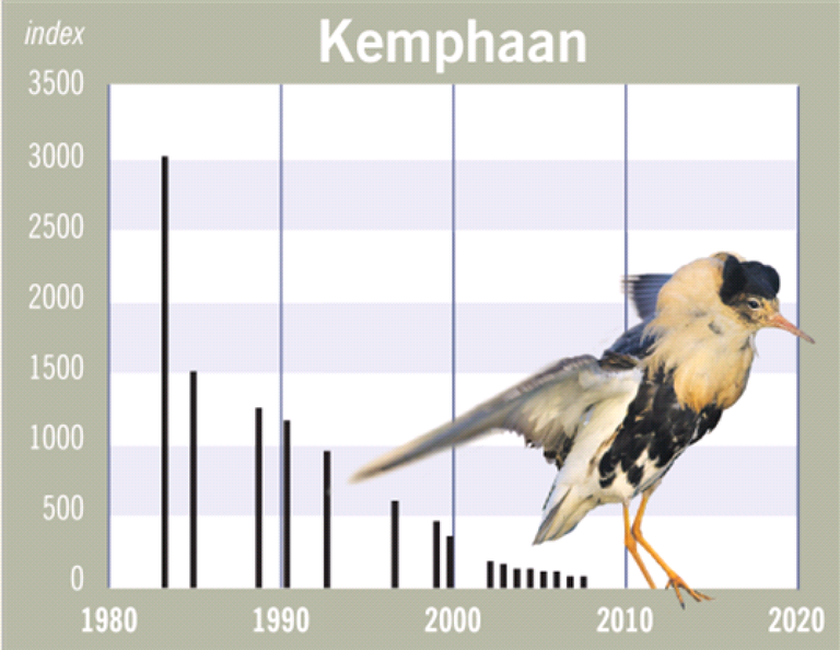 kemphaan
