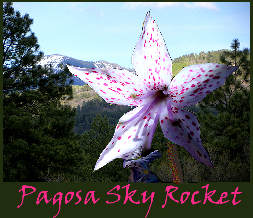 pagosa sky rocket