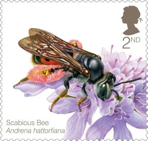 Bees-Scabious-Bee-Stamp