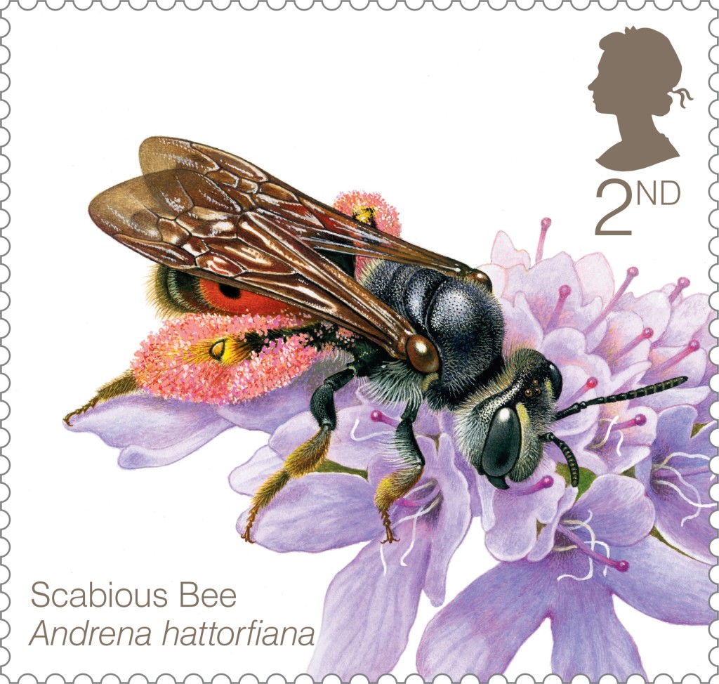 Bees-Scabious-Bee-Stamp