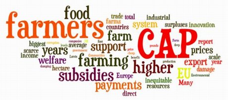 CAP-wordle