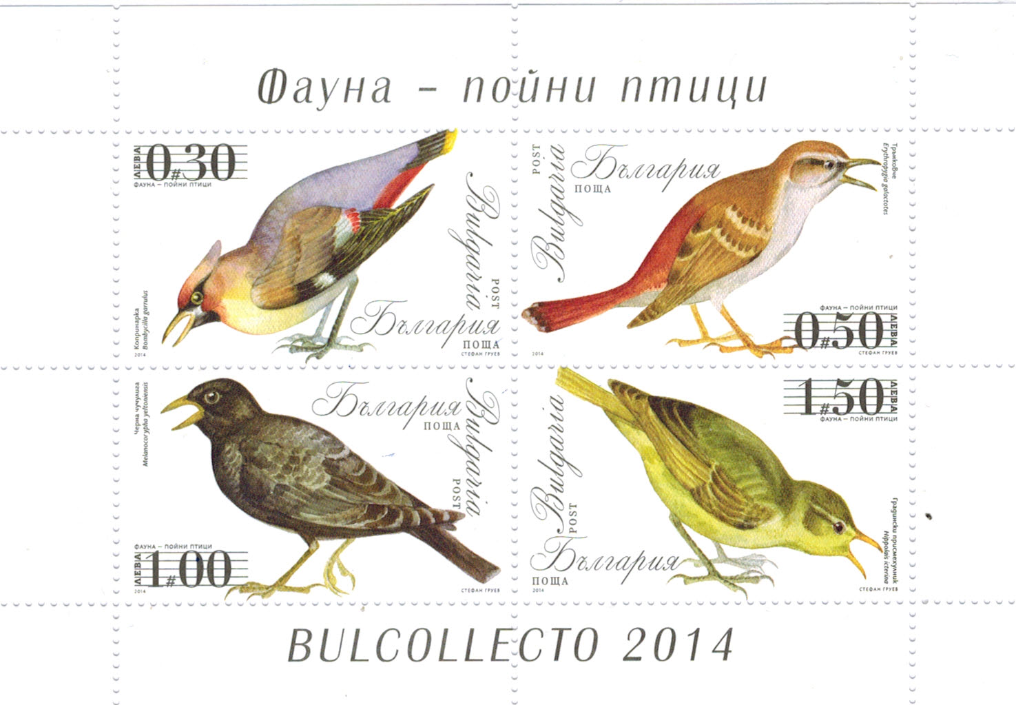 Vogel