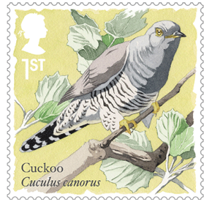 cuckoo-378x359