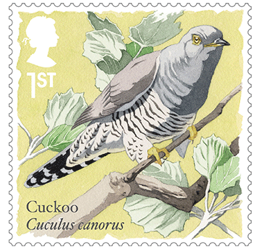 cuckoo-378x359