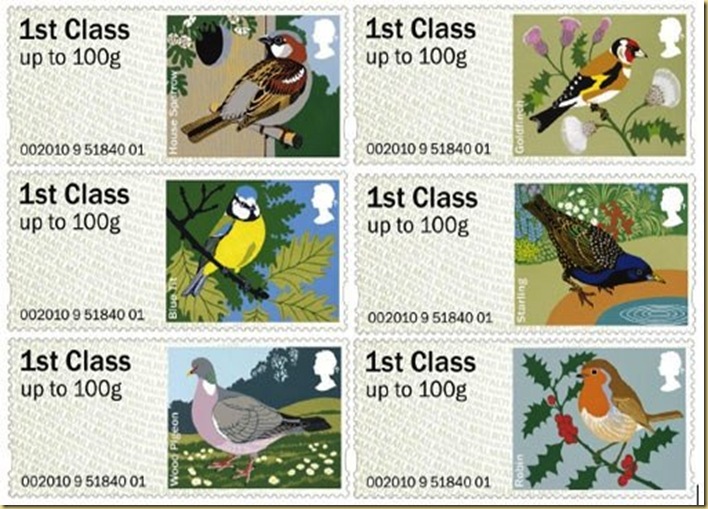 garden birds