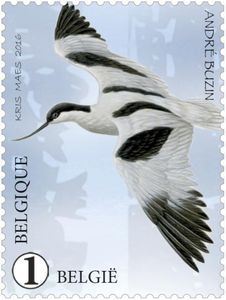 kluut