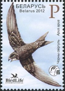 swift2