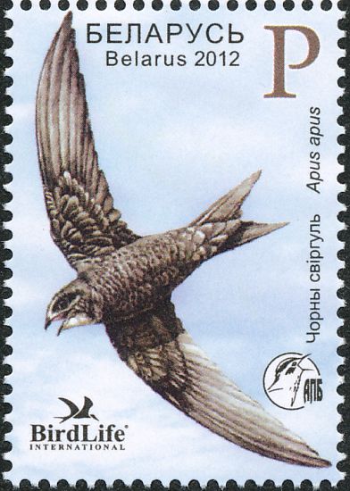swift2