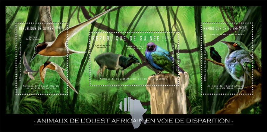 vogels5