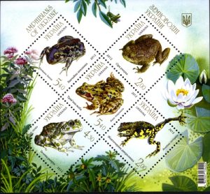 amphibians11