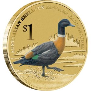 australian-shelduck-2013-stamp-and-coin-cover-reverse