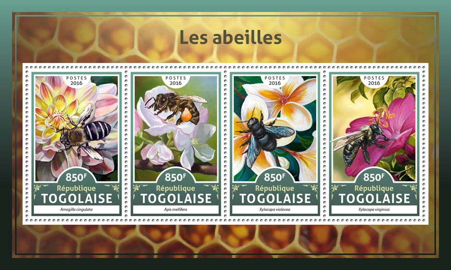 bees26