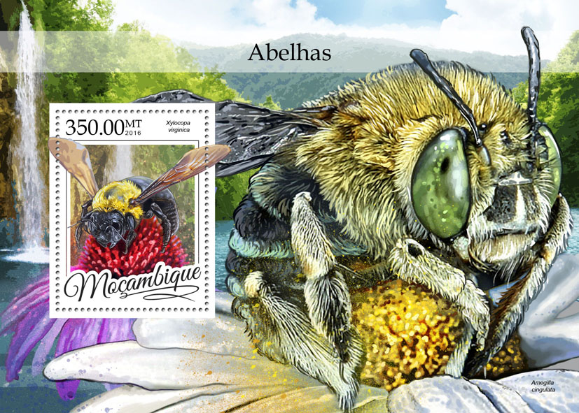 bees27