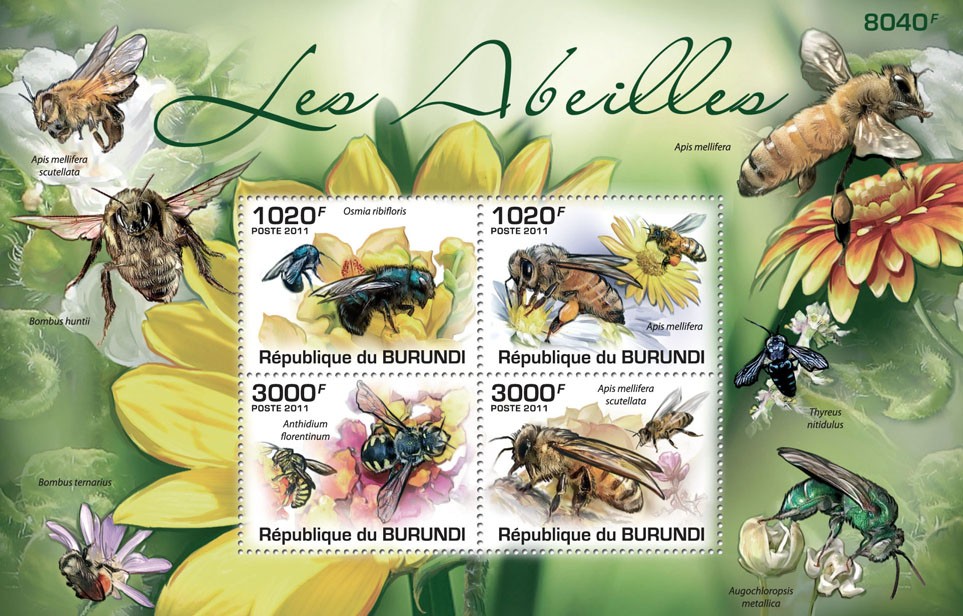 bees28