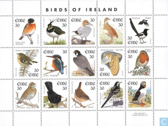 birds of ireland