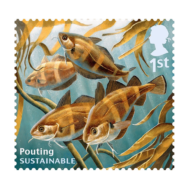 fish14