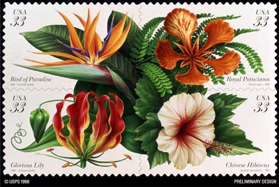 lilly