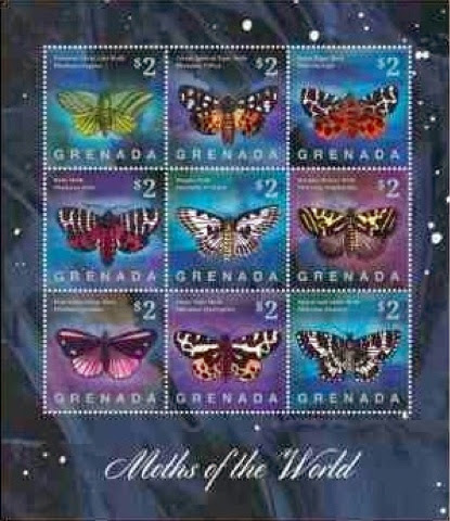 moths3