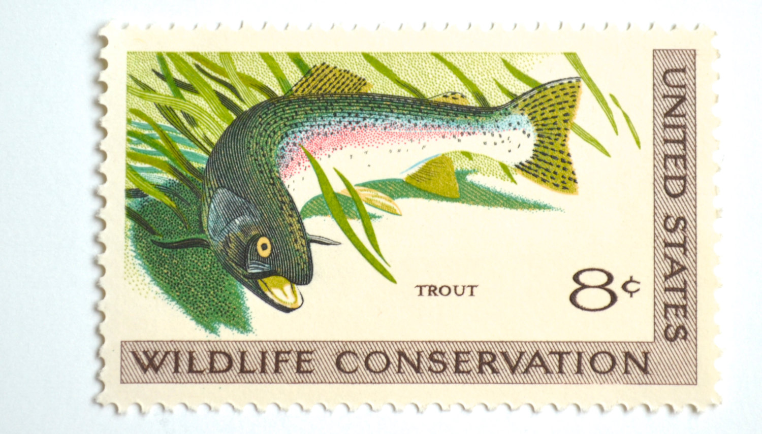 trout