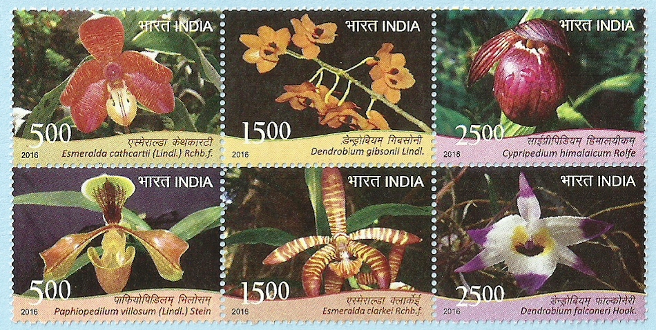wild plants2
