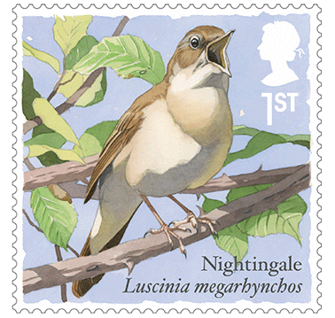 Nightingale