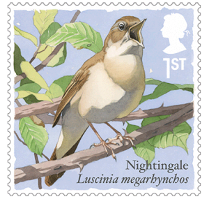 Nightingale