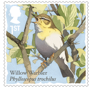 Willow warbler