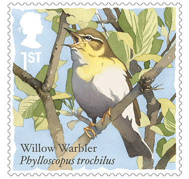 Willow warbler
