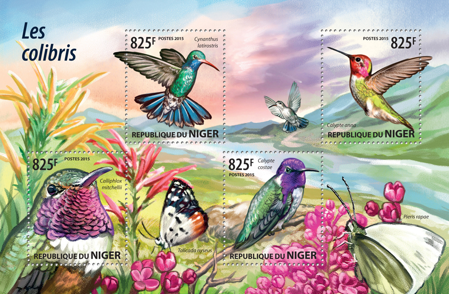 colibri