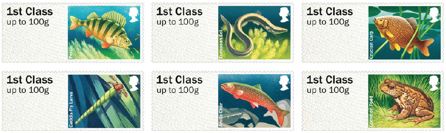 fish5