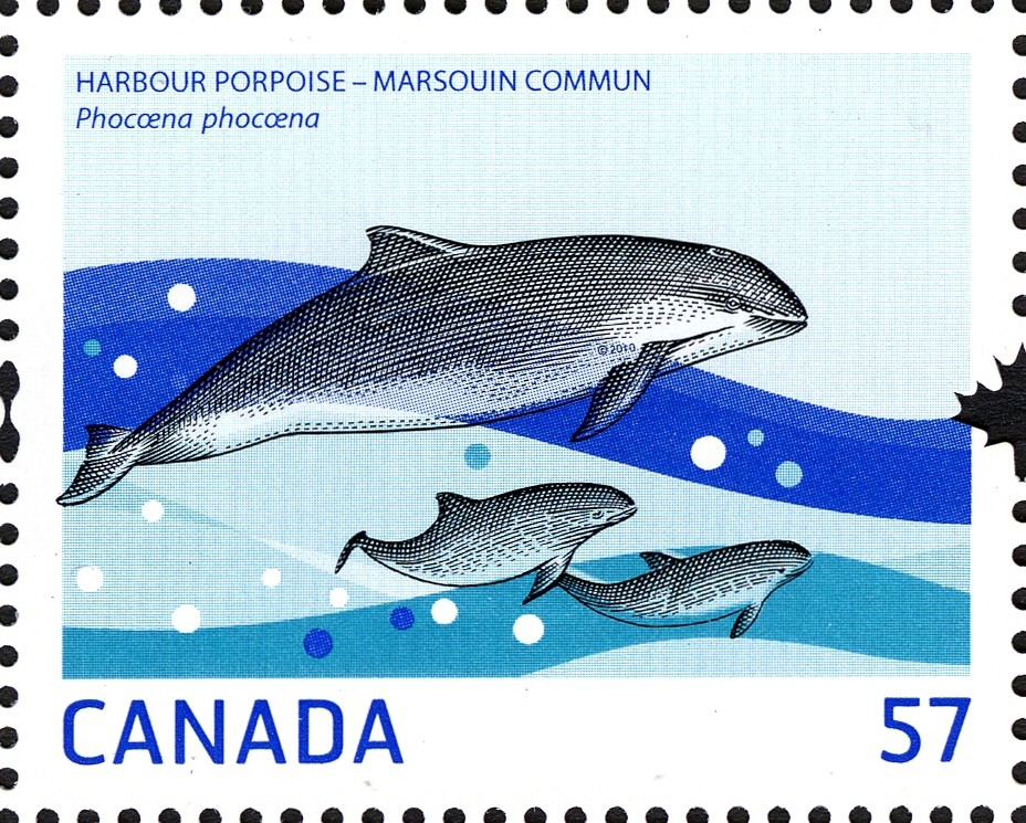 harbour-porpoise-canada-stamp