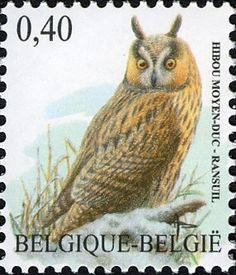 Main-Taunus-Kreis ist Hochburg sterbender Vögel
