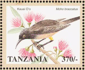 Moho-braccatus-stamp-Tanzanial