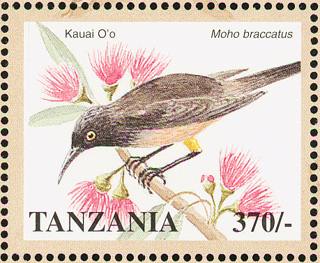 Moho-braccatus-stamp-Tanzanial