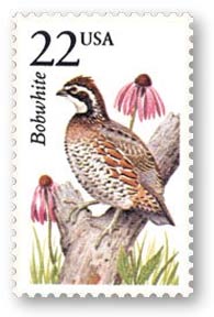 Neonicotinoid insecticides may negatively affect Northern Bobwhite populations in Texas