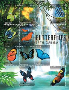 butterflies17