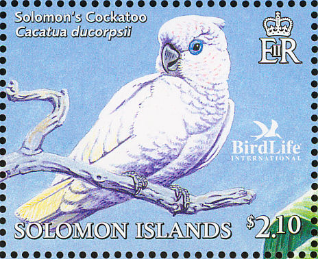 Bird deaths linked to imidacloprid