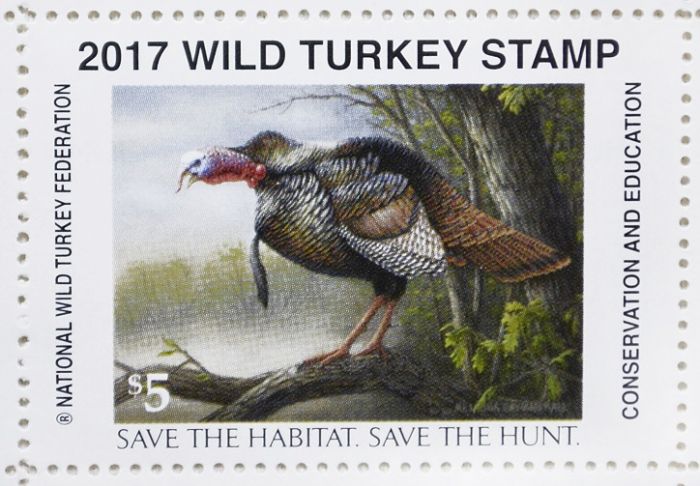 Vanishing turkeys are causing concern in Tennessee