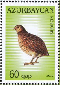 kwartel1