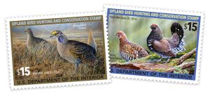 red grouse