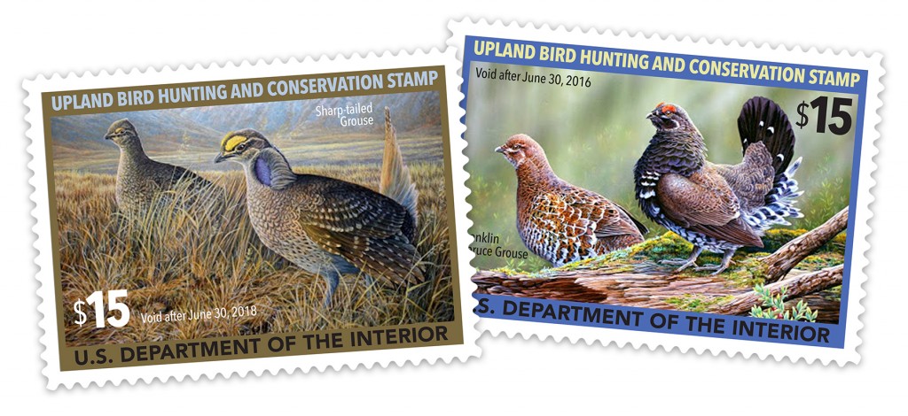 Long-term decline in red grouse numbers in British uplands