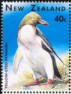 yellow-eyed penguin